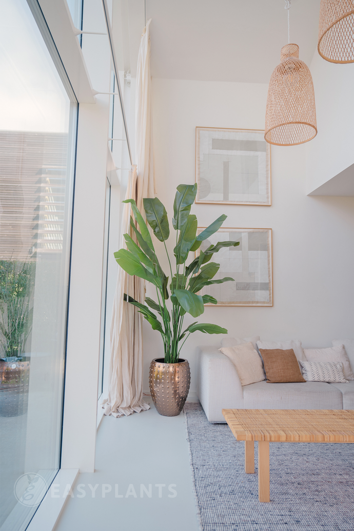 Kunstplant_strelitzia_nicolai