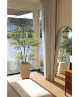 Artificial Plant Ruscus 180 cm - Easyplants Artificial Plants & Flowers