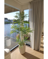 Artificial Plant Ruscus 180 cm - Easyplants Artificial Plants & Flowers