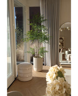 Artificial Plant Ruscus 180 cm - Easyplants Artificial Plants & Flowers