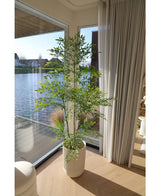 Artificial Plant Ruscus 180 cm - Easyplants Artificial Plants & Flowers