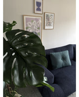 Artificial plant Monstera 120 cm - Easyplants Artificial Plants & Flowers