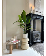 Artificial plant Strelitzia Real Touch Deluxe 120 cm - Easyplants Artificial Plants & Flowers