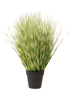 The Artificial Grass Plant Zebra 55 cm has long, thin green and white variegated grass-like leaves in a simple black pot, against a plain white background.