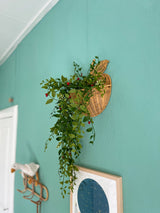 Artificial Hanging Plant Gardenia with Berries 81 cm - Easyplants Artificial Plants & Flowers