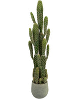 Artificial cactus 100 cm - Easyplants Artificial Plants & Flowers