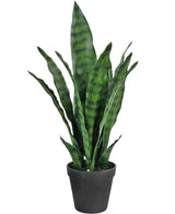 Artificial plant Sansevieria Zeylanica 44 cm - Easyplants Artificial Plants & Flowers