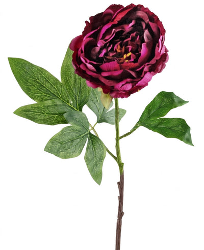 A single stem of the artificial flower "Artificial Flower Peony 61 cm aubergine", with deep aubergine-colored petals and detailed green leaves, isolated against a white background.