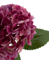 Artificial flower Charlotte Hortensia Real Touch Purple 49 cm - Easyplants Artificial Plants & Flowers