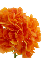 Artificial flower Charlotte Hortensia Real Touch Orange 49 cm - Easyplants Artificial Plants & Flowers