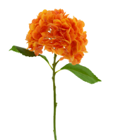 Artificial flower Charlotte Hortensia Real Touch Orange 49 cm - Easyplants Artificial Plants & Flowers