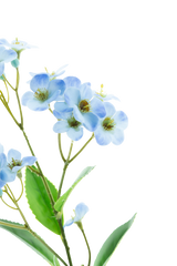 Artificial flower Orchid Real Touch Blue 50 cm - Easyplants Artificial Plants & Flowers