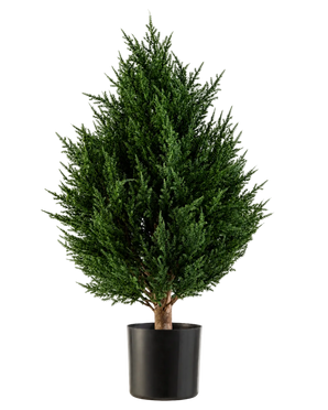 The Artificial Plant Conifer Deluxe UV 60 cm from Easyplants is a compact, bushy artificial plant with evergreen foliage and rich green foliage, presented in a black pot against a white background. This makes it an excellent choice among outdoor artificial plants and effortlessly provides vibrant greenery in any environment.
