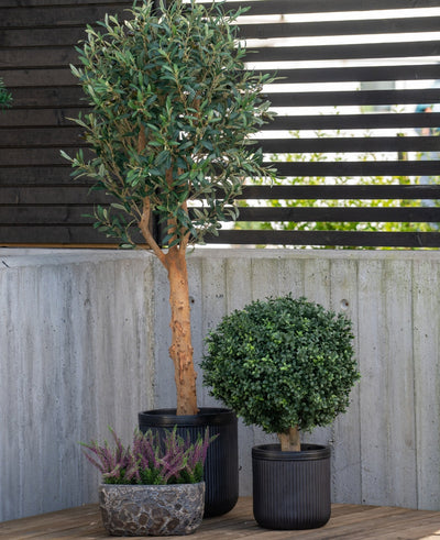 Three potted plants are placed outside: an artificial olive tree UV 155 cm with a slender trunk, a round shrub and a small pot with purple heather, all against a concrete wall and a wooden slatted fence.
