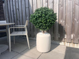 Artificial Buxus on Stam D60 CM - Easyplants Artificial Plants & Flowers