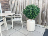 Artificial Buxus on Stam D60 CM - Easyplants Artificial Plants & Flowers