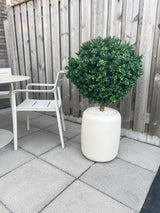 Artificial Buxus on Stam D60 CM - Easyplants Artificial Plants & Flowers
