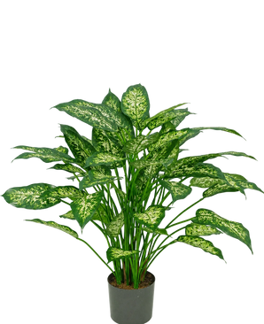 A 75 cm artificial Dieffenbachia plant with lush green leaves, decorated with pale yellow-green markings, depicted against a plain white background.