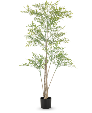 The Artificial Ruscus 150 cm has long, thin branches and light green leaves in a black pot against a white background - ideal as a decorative interior for any room.