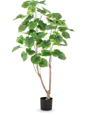 The Artificial Plant Ficus 150 cm has multiple slender brown stems and large, wide green leaves, presented in a tall pot against a plain white background.