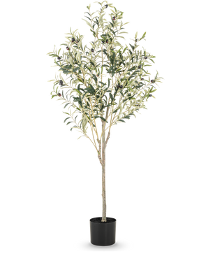 The Artificial Olive Tree 150 cm has slender branches and green leaves with small black olives in a simple black pot, ideal for adding a Mediterranean atmosphere to any room.