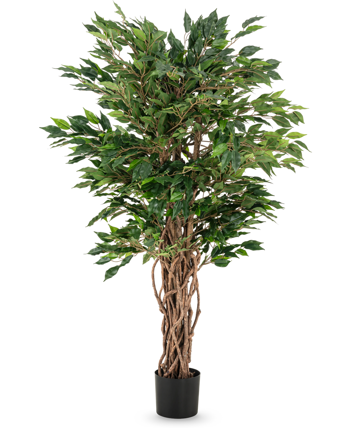 The Artificial Plant Ficus Liana 120 cm has braided brown trunks and lush green leaves in a black pot, making it an elegant choice for any ficus collection or office plant display.