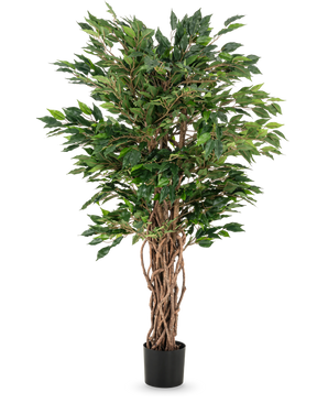 The Artificial Plant Ficus Liana 120 cm has braided brown trunks and lush green leaves in a black pot, making it an elegant choice for any ficus collection or office plant display.