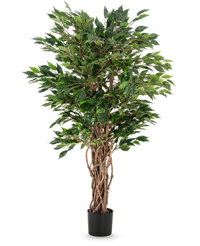 The Artificial Plant Ficus Liana 120 cm has braided brown trunks and lush green leaves in a black pot, making it an elegant choice for any ficus collection or office plant display.