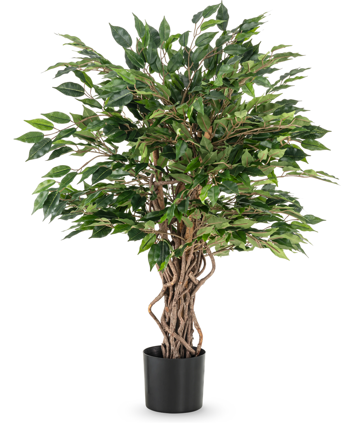 The Artificial Plant Ficus Liana 90 cm has twisted brown trunks and dense green leaves in a black pot, ideal as an office plant or for any ficus collection, depicted against a white background.