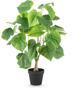 The Artificial Plant Ficus 60 cm has large, green, heart-shaped leaves and a structured stem in a simple black plastic pot, against a white background.