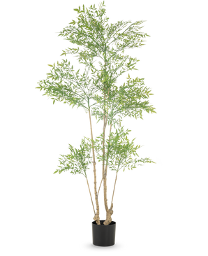 The Artificial Plant Ruscus 180 cm is a tall artificial plant with multiple slender trunks and abundant small green leaves, displayed in a simple black pot against a white background.