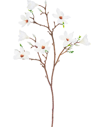 The Artificial Branch Magnolia small flowered 89 cm white has a single brown branch with several offshoots, with multiple open white flowers with a light pink heart and small green leaves, against a plain white background.