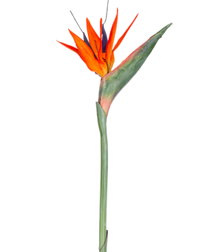 The Artificial Flower Strelitzia 86 cm red/purple has vibrant red and purple petals on a long green stem, presented as a single, maintenance-free artificial flower isolated against a white background.