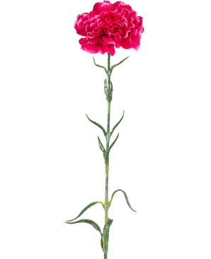 The Artificial Flower Carnation 69 cm hard pink has a single bright pink carnation with ruffles in the petals, a long green stem and slender leaves against a plain white background.