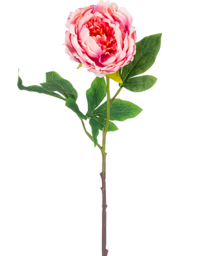 The Artificial Flower Peony 61 cm pink has a single pink peony with lush green leaves and a long brown stem, isolated on a white background.