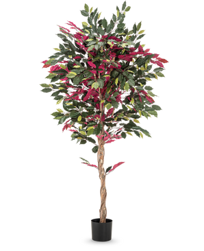 A fire-retardant artificial plant Ficus green/red measuring 180 cm, with a twisted trunk and green-red leaves in a black pot, stands against a smooth white background.