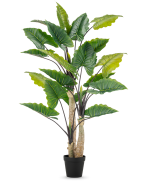 The Artificial Plant Alocasia 240 cm is a tall artificial plant with large green leaves and several stems in a black pot, against a plain white background.