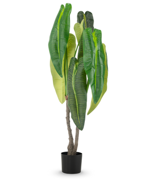 An artificial plant Anthurium 150 cm with large leaves in a pot.