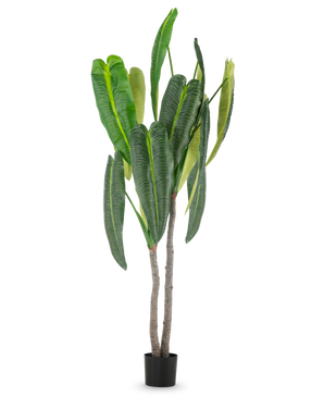 The Artificial Plant Anthurium 210 cm has tall, lush green leaves and two brown stems in a small black pot, against a simple white background.