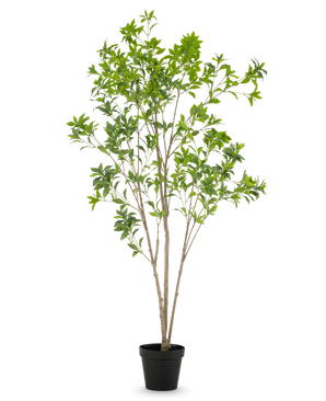 The Artificial Plant Pieris Japonica 210 cm has multiple slender brown stems and abundant green leaves, presented in a tall pot against a plain white background.