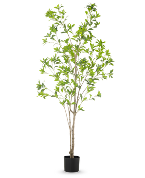The Artificial Plant Pieris Japonica 180 cm is a tall artificial tree in a pot with multiple slender brown trunks and lush green leaves against a plain white background.