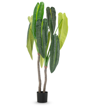 The Artificial Plant Anthurium 180 cm has two brown stems and large, elongated green leaves in different shades, in a small black pot against a white background.