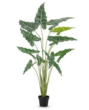 The Artificial Plant Alocasia 160 cm is an artificial plant in a pot with long, upright stems and large, dark green leaves with striking white veins, against a plain white background.