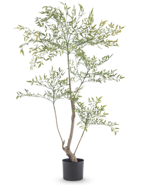The Artificial Ruscus 120 cm is a high, slender artificial plant with long thin branches with many small green leaves. It stands in a simple black pot and brings realistic greenery to any room without the need for maintenance.
