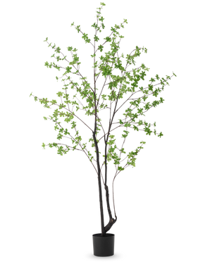 The Artificial Plant Enkianthus 210 cm has a tall, slender design with dark stems and branches decorated with small light green leaves, against a plain white background.