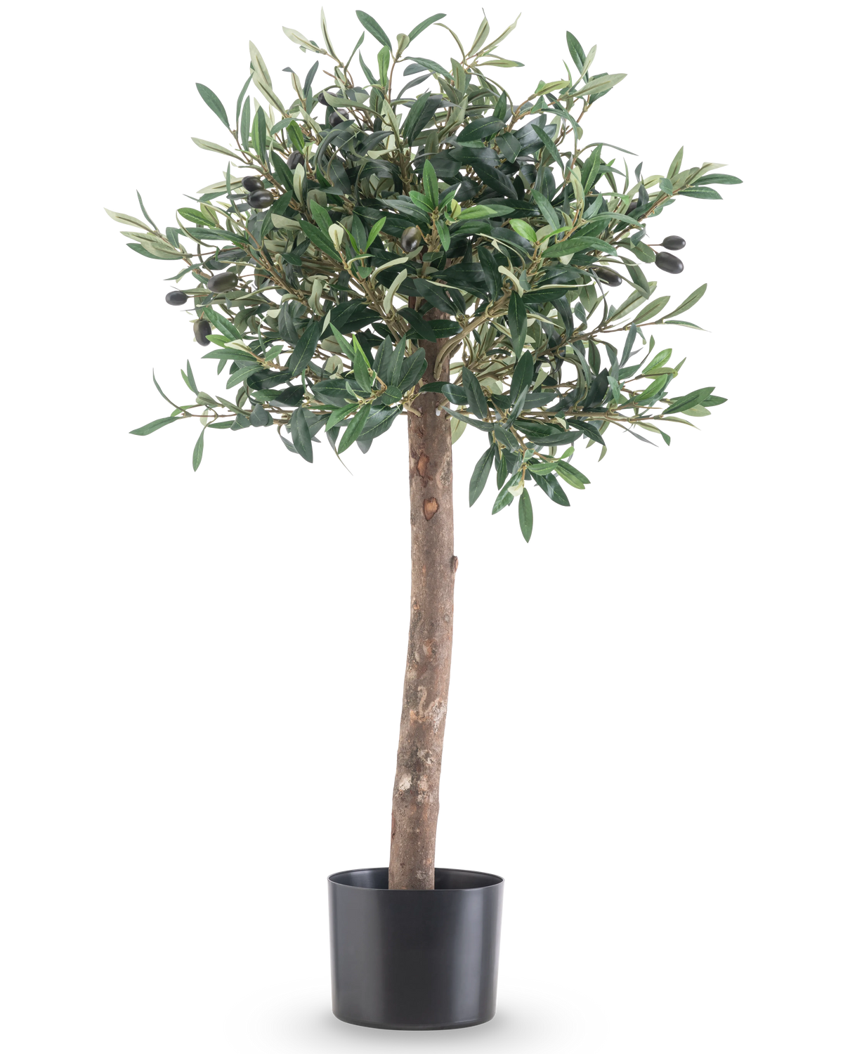 The Artificial olive tree UV 85 cm has a straight trunk, dense green leaves and small black olives. This easy-care artificial plant in a black pot always remains beautiful and is perfect for indoors or outdoors thanks to its UV resistance.