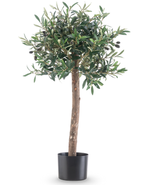 The Artificial olive tree UV 85 cm has a straight trunk, dense green leaves and small black olives. This easy-care artificial plant in a black pot always remains beautiful and is perfect for indoors or outdoors thanks to its UV resistance.
