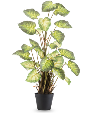 The Artificial Plant Alocasia Odora 90 cm has large, green, heart-shaped leaves and multiple stems in a simple black pot, against a plain white background.