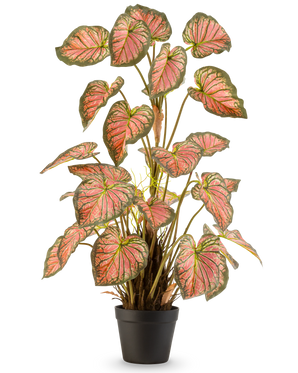 The Artificial Plant Caladium 90 cm pink is a pot plant with large, heart-shaped leaves with green edges and pink hearts, presented upright in a black pot against a white background.