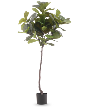 The Artificial Plant Ficus Tobacco Plant Deluxe 180 cm is a tall artificial plant with large, glossy green leaves and a slender brown trunk, against a plain white background.